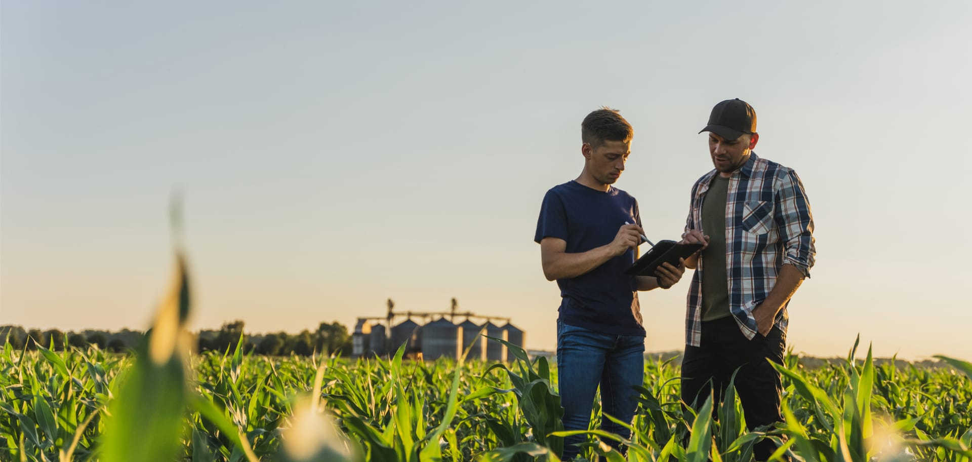 Buscamos operadores para conectar España